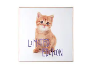 Present time - Wall art kitten Limited Edition purple