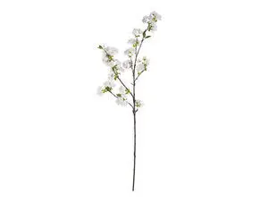 Slank, mørkebrun stilk med hvide æbleblomster og grønne blade fordelt langs grenen.