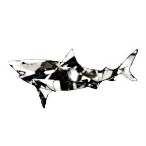 Image of Paradisco Productions illustration - Shark Superior plakat (A3)