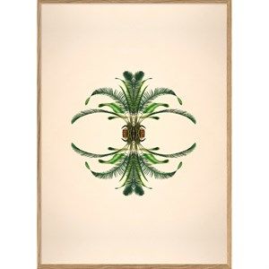 Image of The Dybdahl - Plakat 50x70 cm. - Botanical reflection #8801 - Papir