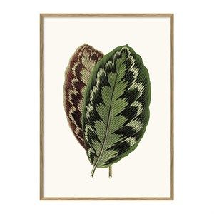 Image of The Dybdahl - Plakat 30x40 cm. - Blade - Papir