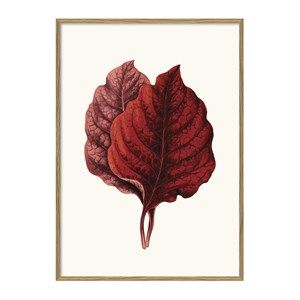 Image of The Dybdahl - Plakat 50x70 cm. - Røde blade - Papir