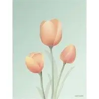 Plakat med Tulipaner fra ViSSEVASSE